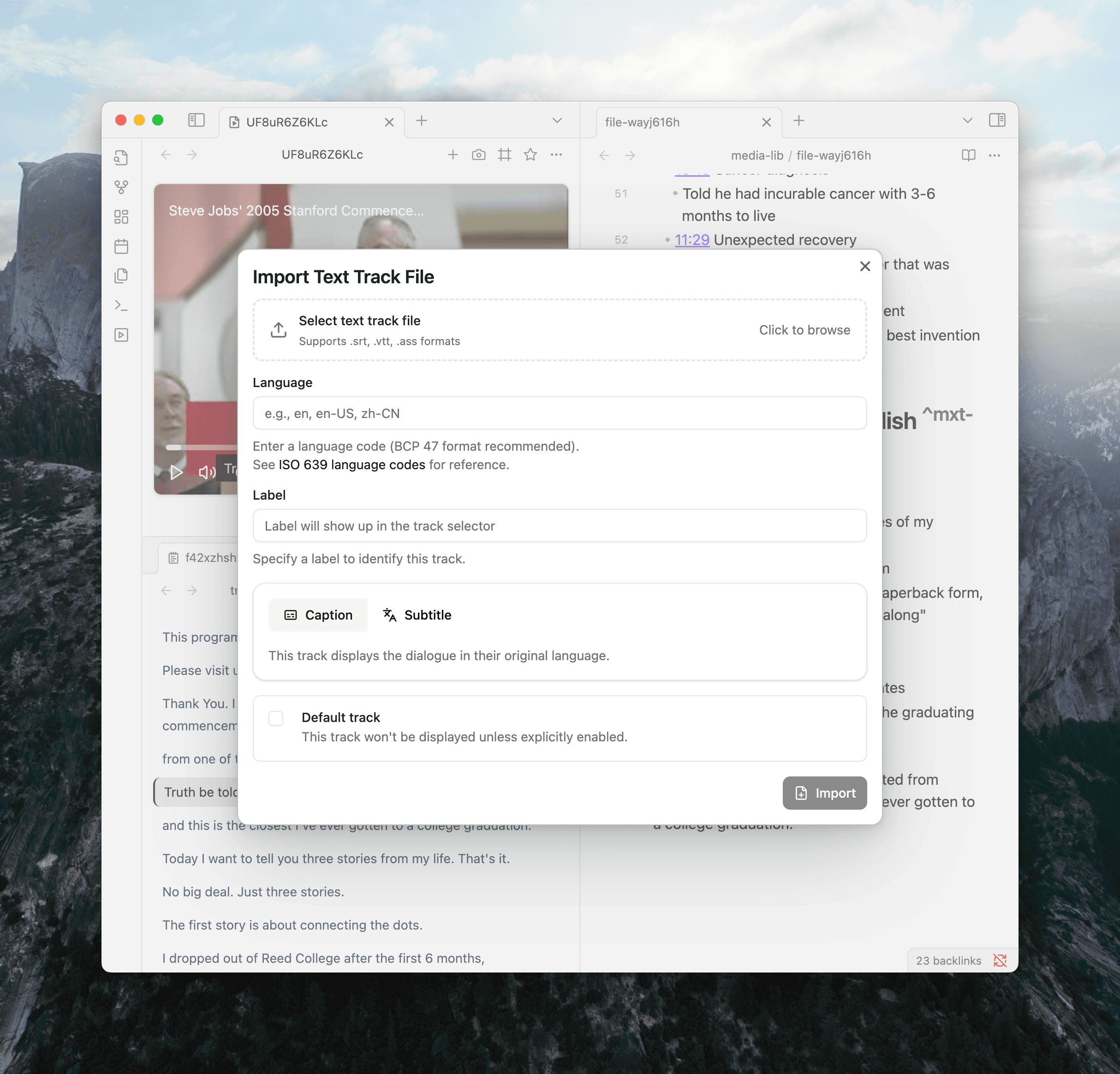 Text Track Import Wizard