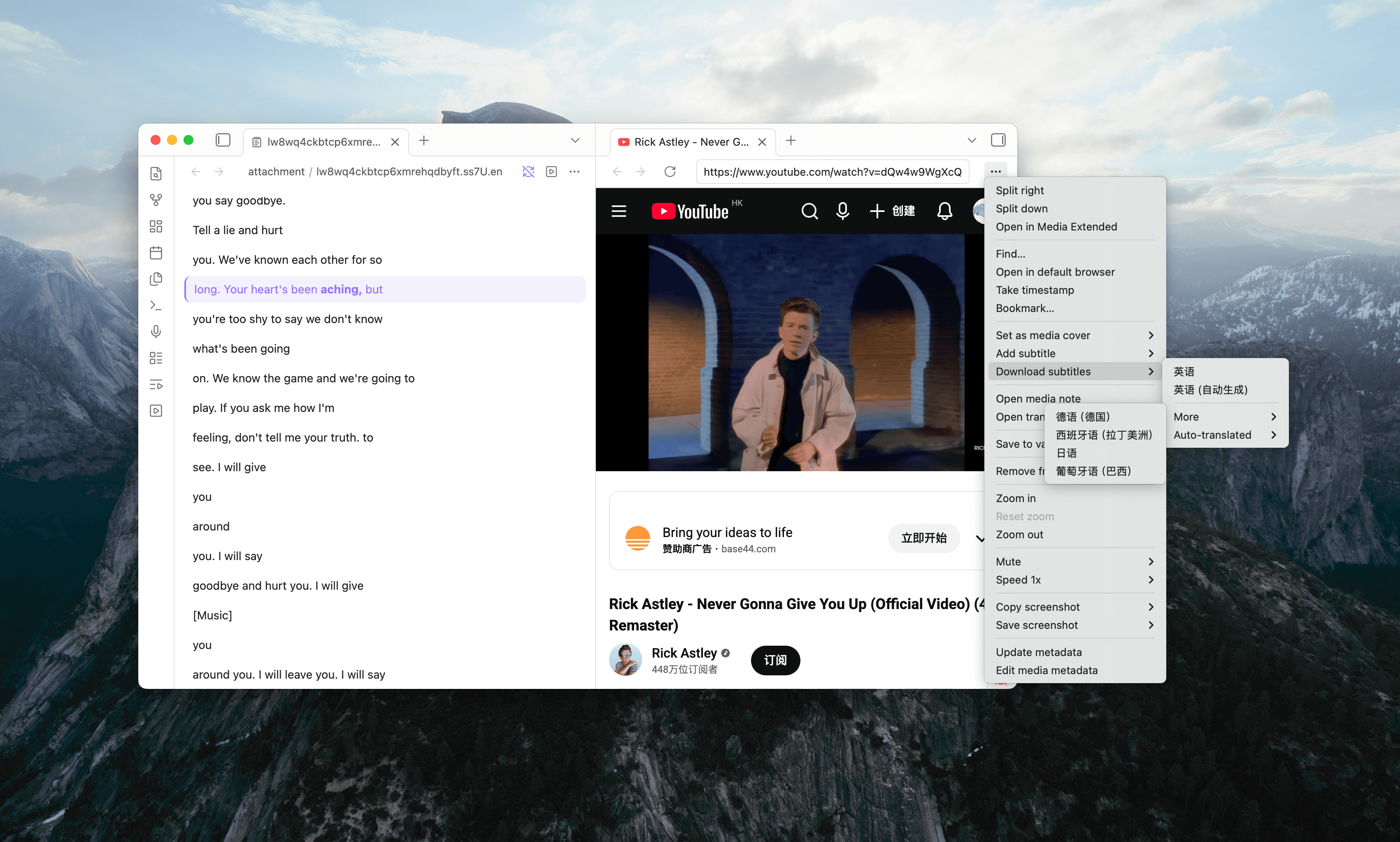 Web Viewer Integration