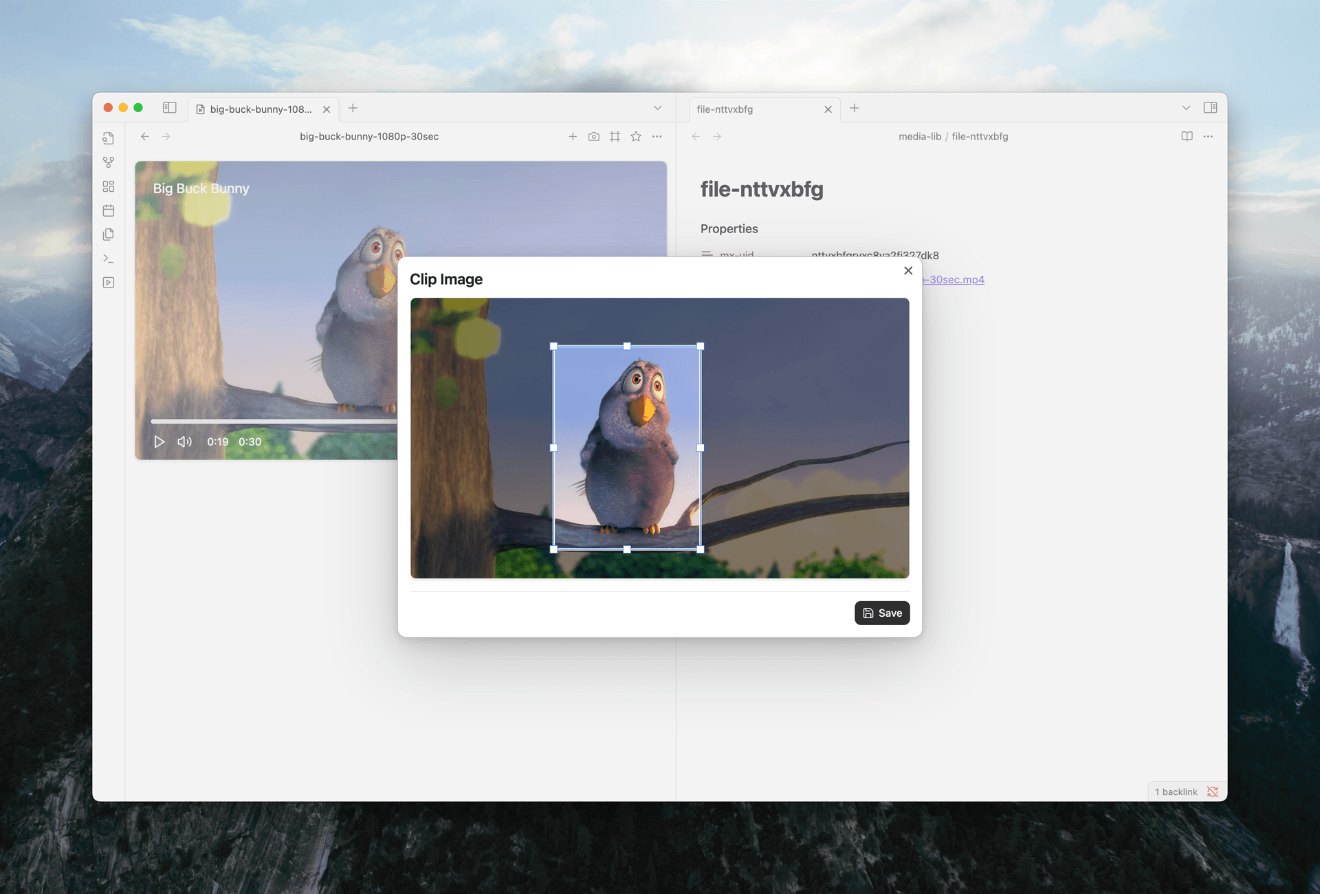 Screenshot capture interface with cropping tools